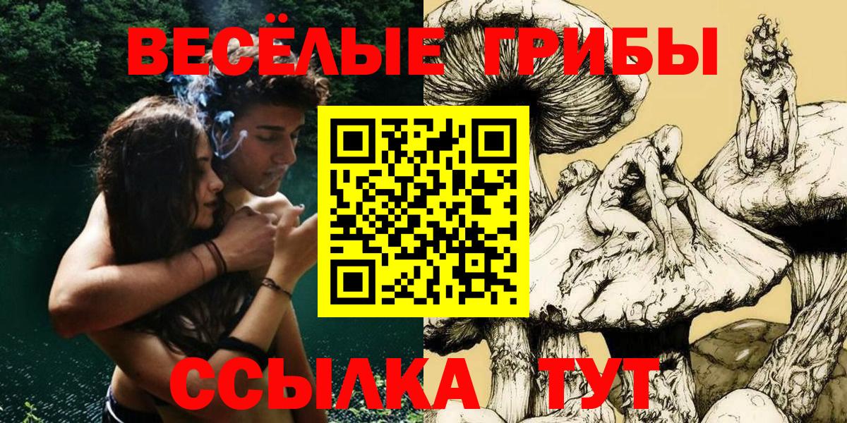 Галлюциногенные грибы Psilocybine cubensis Сафоново